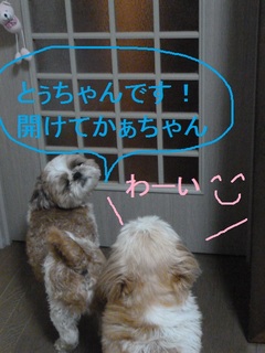 おむかえ.jpg