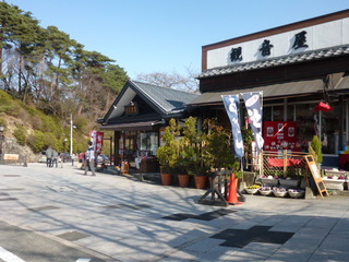 P1020252.JPG