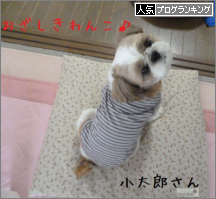 banner (2).png